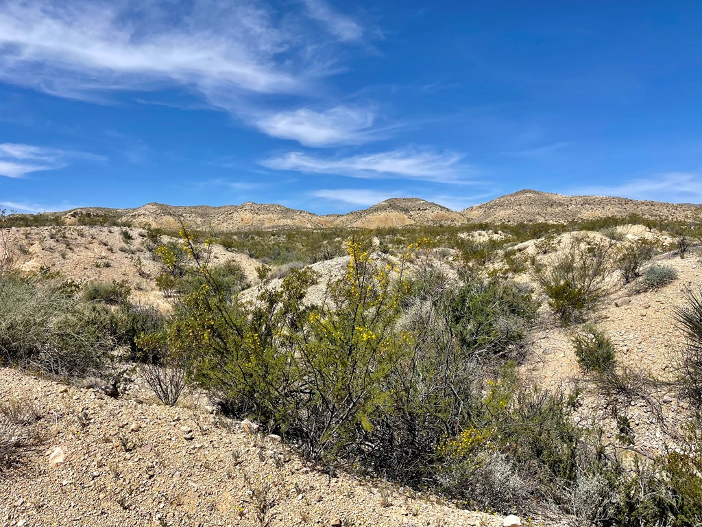 TR 2535 Private Rd, Terlingua, Texas image 20