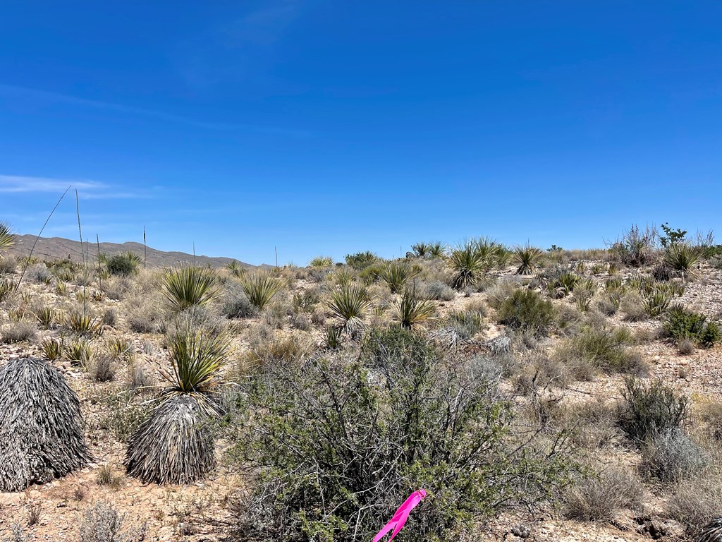 TR 2535 Private Rd, Terlingua, Texas image 12