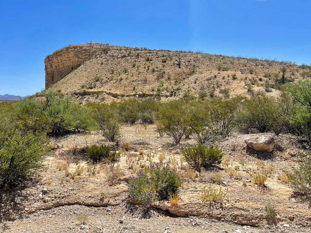 TR 2535 Private Rd, Terlingua, Texas image 11