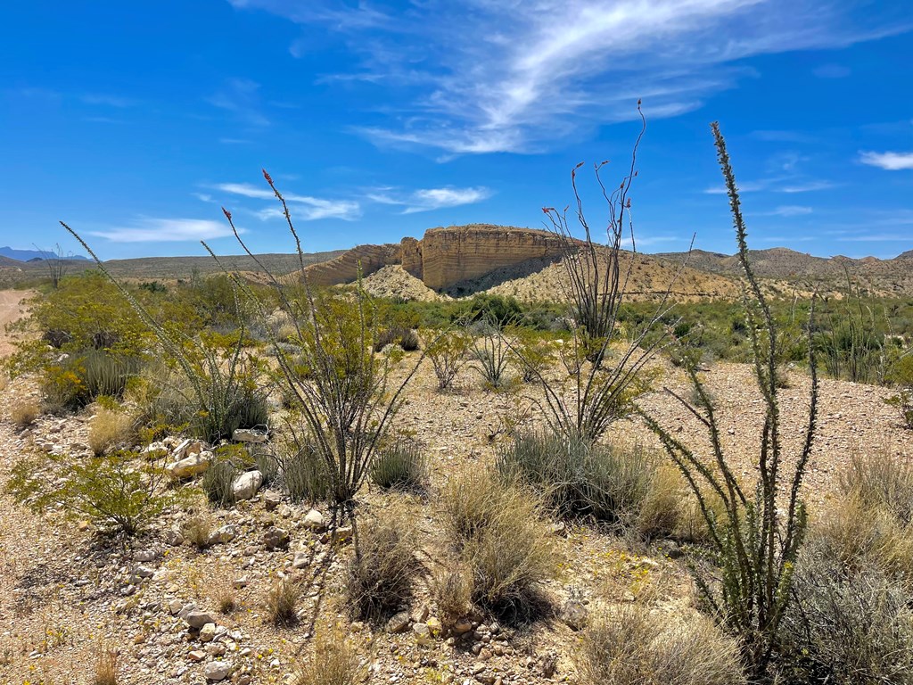 TR 2535 Private Rd, Terlingua, Texas image 13