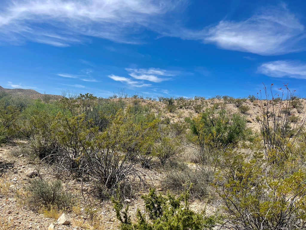 TR 2535 Private Rd, Terlingua, Texas image 14