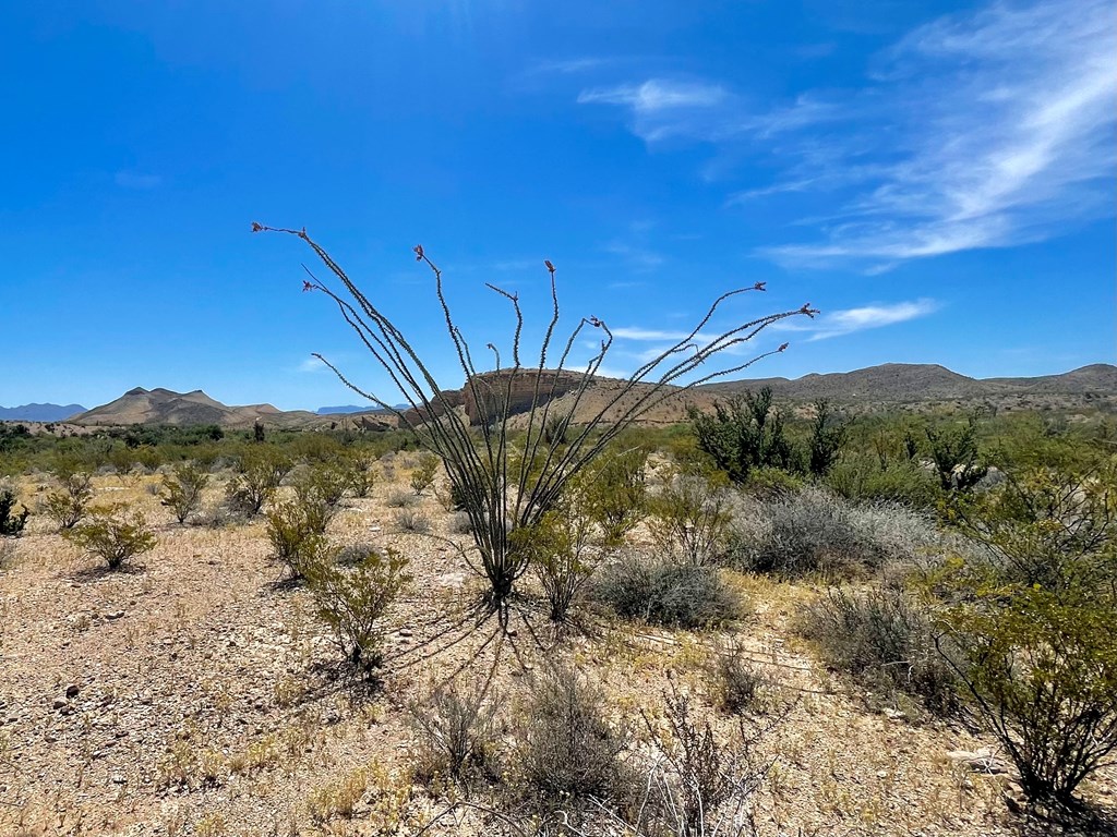 TR 2535 Private Rd, Terlingua, Texas image 3