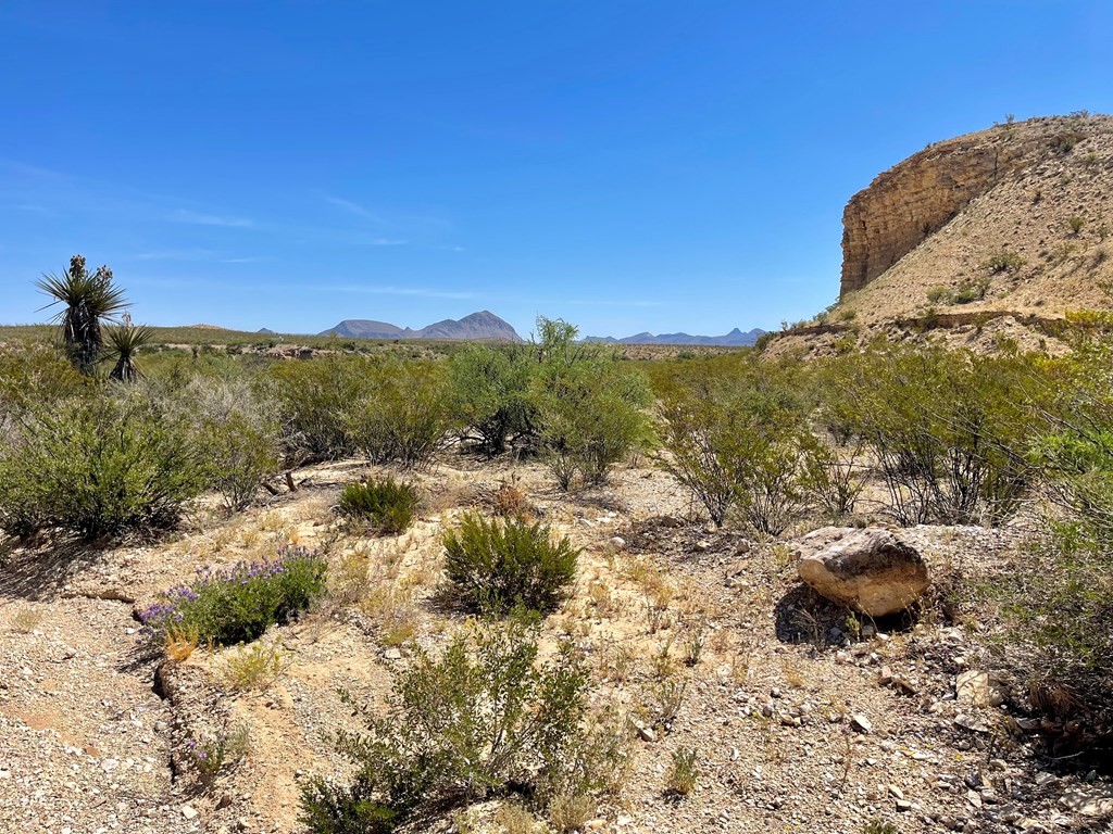 TR 2535 Private Rd, Terlingua, Texas image 10