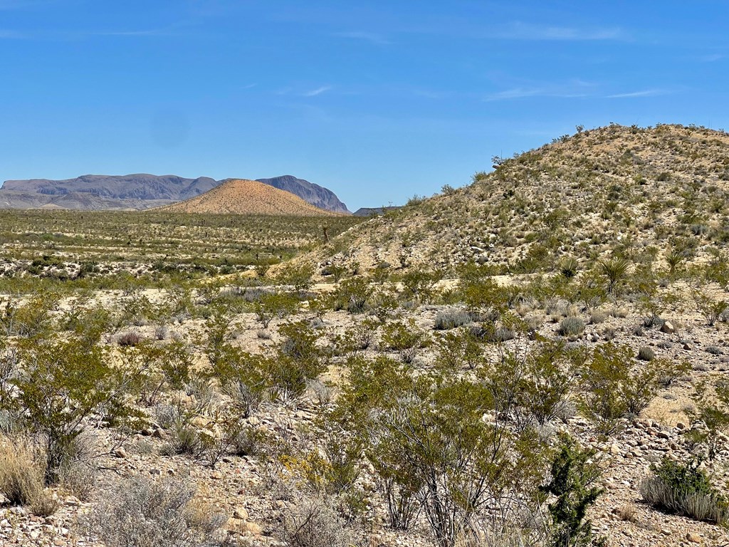 TR 2535 Private Rd, Terlingua, Texas image 23