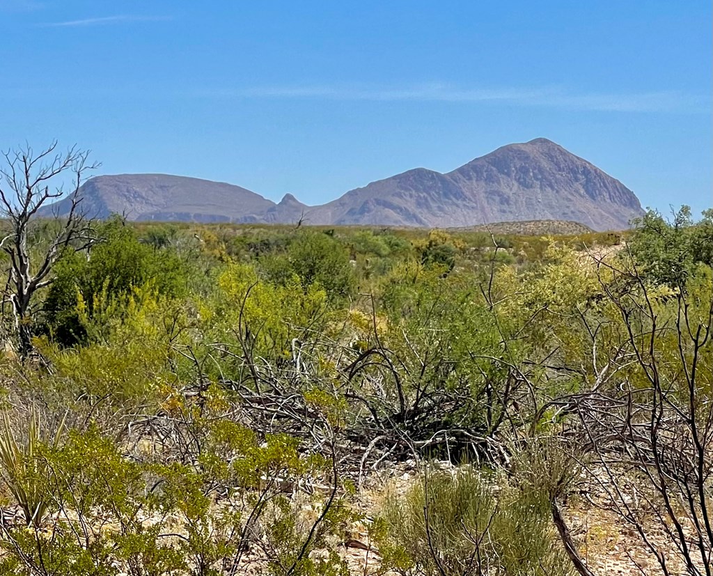 TR 2535 Private Rd, Terlingua, Texas image 17