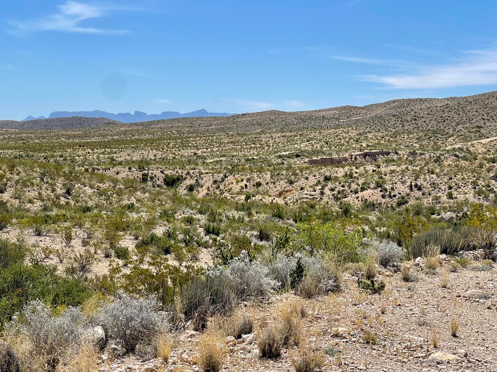 TR 2535 Private Rd, Terlingua, Texas image 24