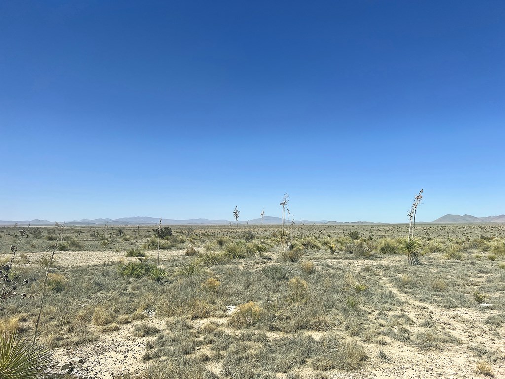 2103 Antelope Hills Rd, Marfa, Texas image 35