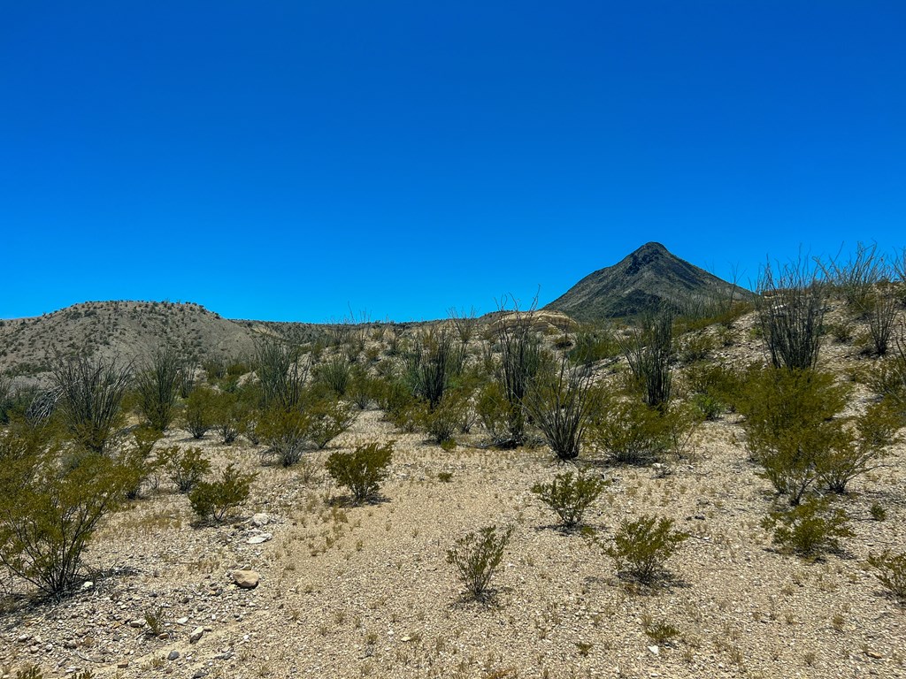 200 Stoneyton Road, Terlingua, Texas image 5