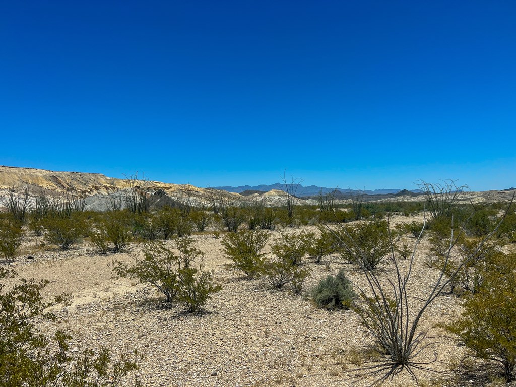 200 Stoneyton Road, Terlingua, Texas image 8