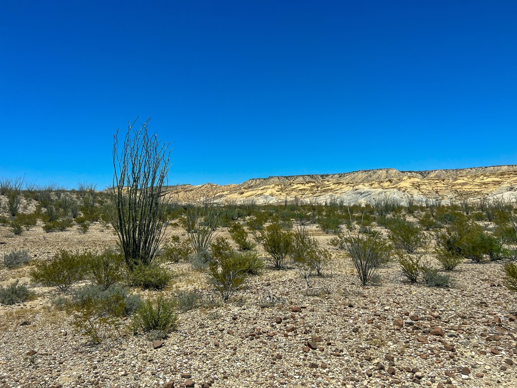 200 Stoneyton Road, Terlingua, Texas image 9