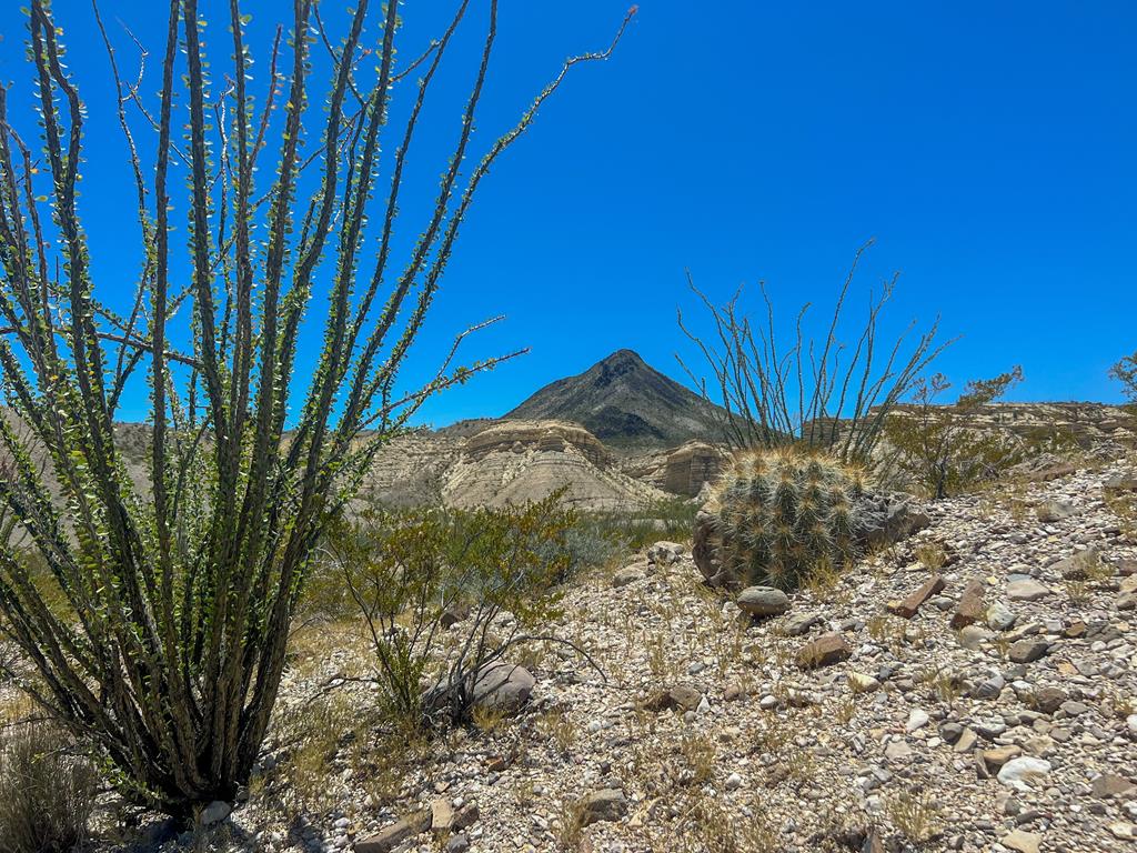 200 Stoneyton Road, Terlingua, Texas image 1