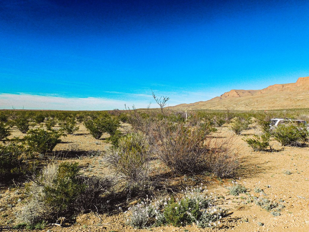 15413 Amarillo St, Terlingua, Texas image 13