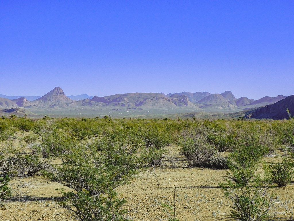 15413 Amarillo St, Terlingua, Texas image 18