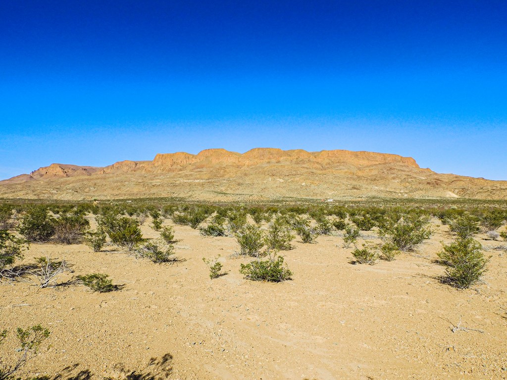 15413 Amarillo St, Terlingua, Texas image 4