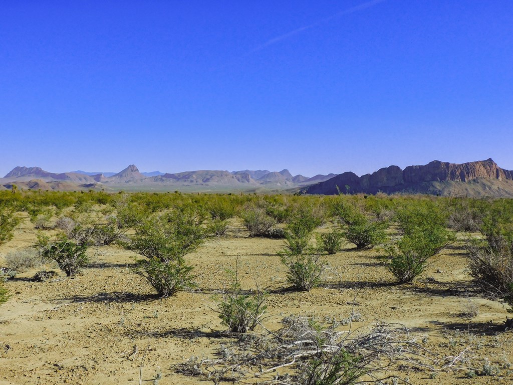 15413 Amarillo St, Terlingua, Texas image 17
