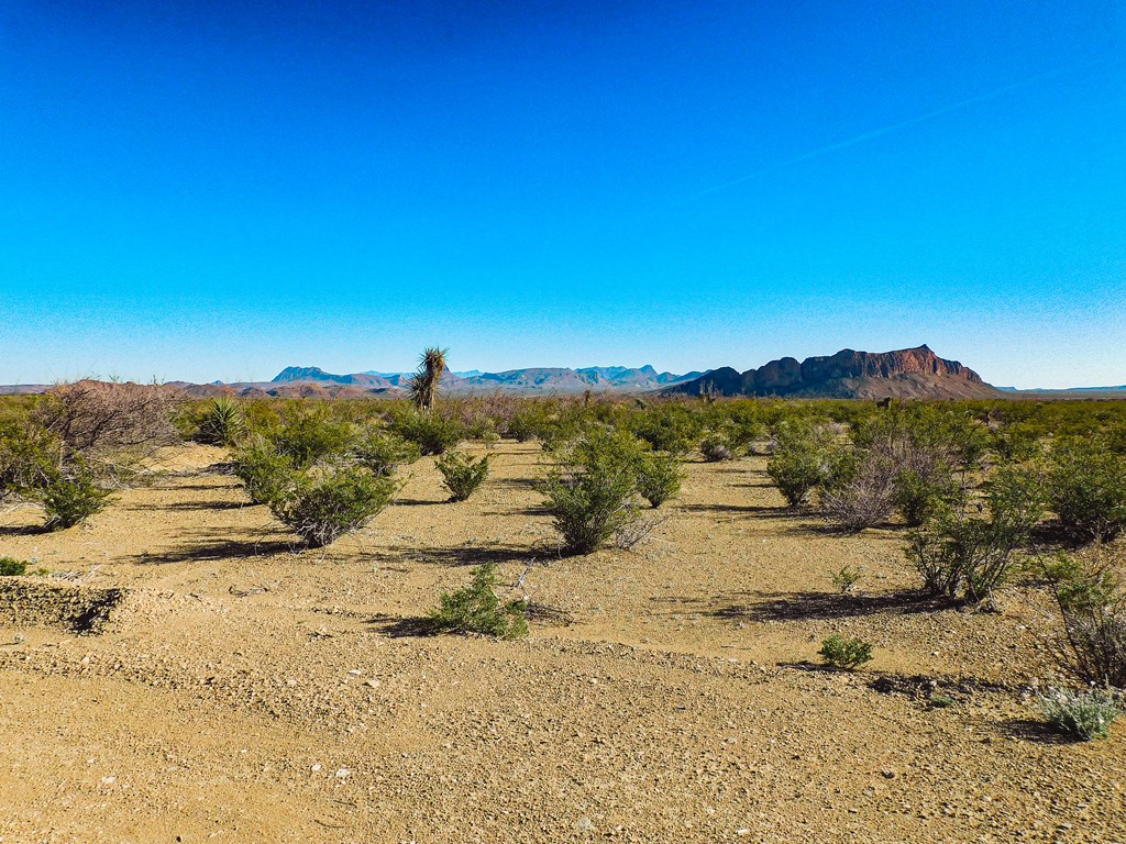 15413 Amarillo St, Terlingua, Texas image 10