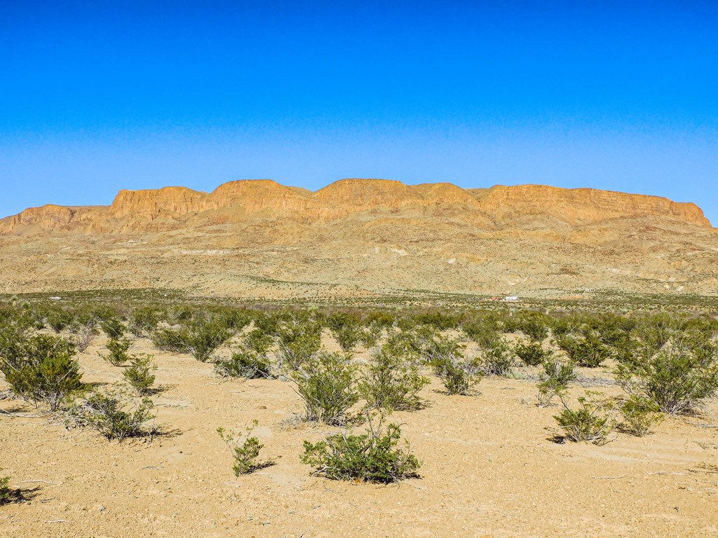 15413 Amarillo St, Terlingua, Texas image 6