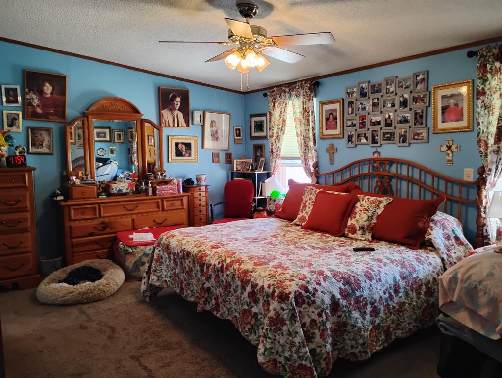 212 Painted Trees Rd, Fort Davis, Texas image 35