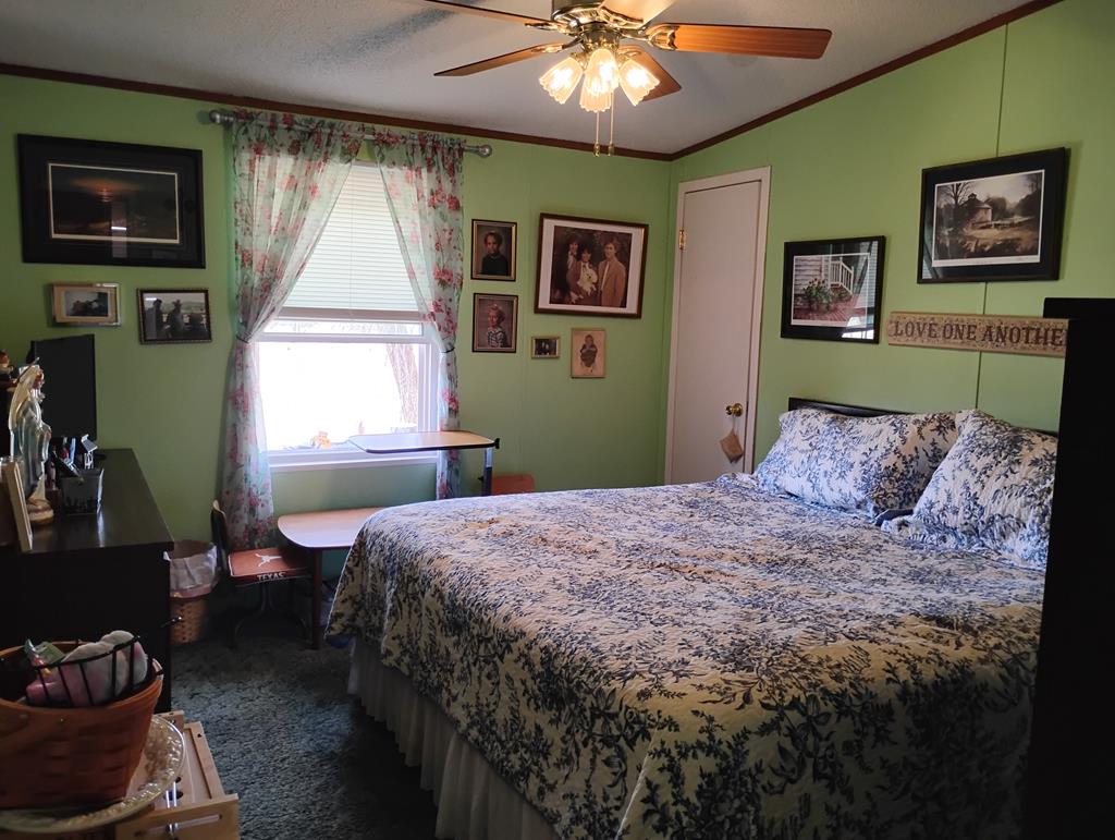 212 Painted Trees Rd, Fort Davis, Texas image 39