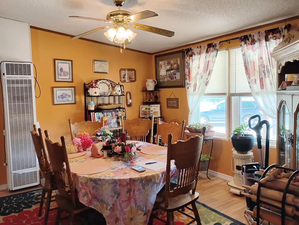 212 Painted Trees Rd, Fort Davis, Texas image 29