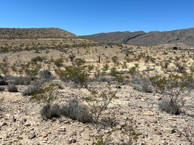 24311 Blue Ridge Rd, Terlingua, Texas image 4