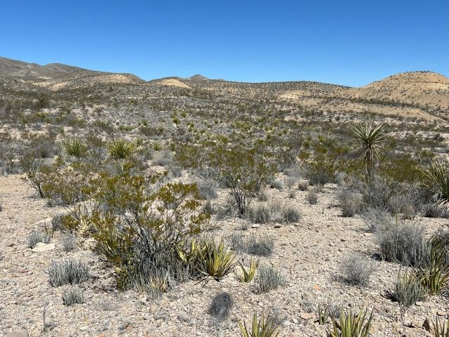 24311 Blue Ridge Rd, Terlingua, Texas image 15