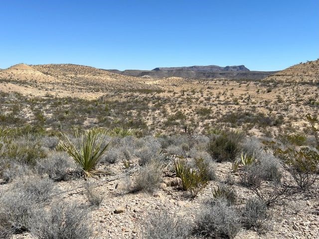 24311 Blue Ridge Rd, Terlingua, Texas image 10