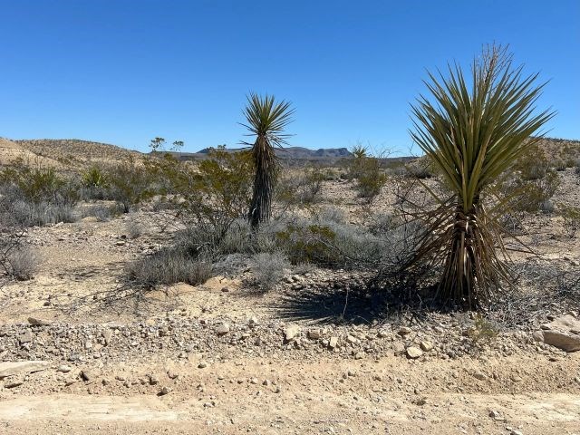 24311 Blue Ridge Rd, Terlingua, Texas image 11