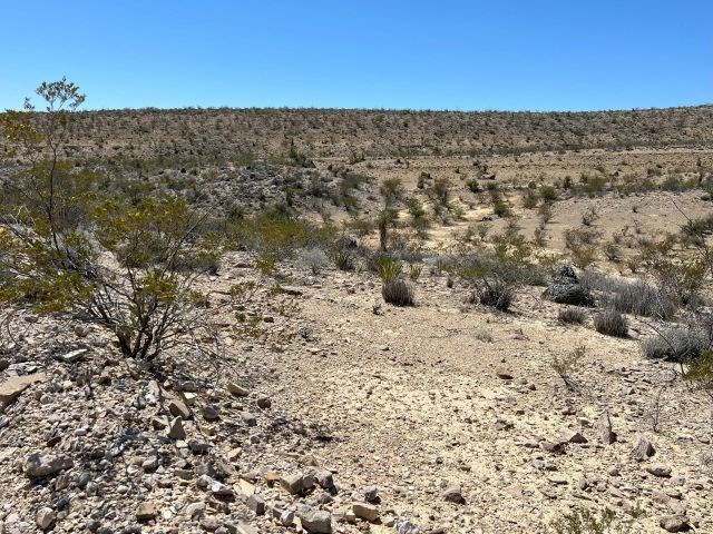 24311 Blue Ridge Rd, Terlingua, Texas image 12