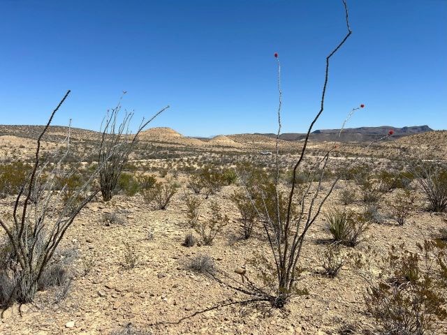 24311 Blue Ridge Rd, Terlingua, Texas image 13