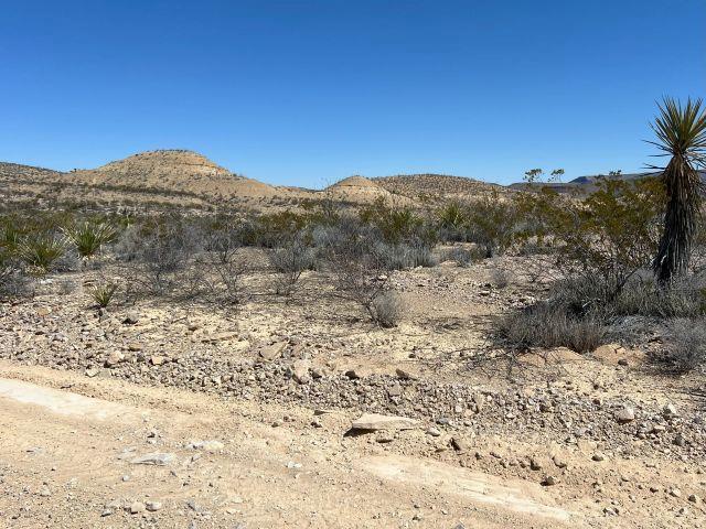 24311 Blue Ridge Rd, Terlingua, Texas image 2