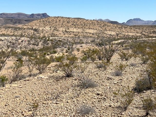 24311 Blue Ridge Rd, Terlingua, Texas image 9