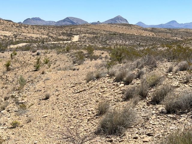 24311 Blue Ridge Rd, Terlingua, Texas image 3