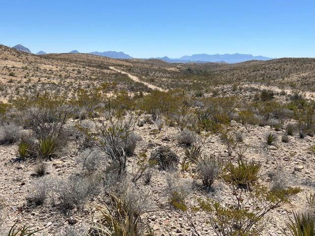 24311 Blue Ridge Rd, Terlingua, Texas image 1