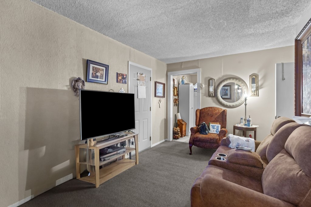 1318 S Alleghaney Ave, Odessa, Texas image 11