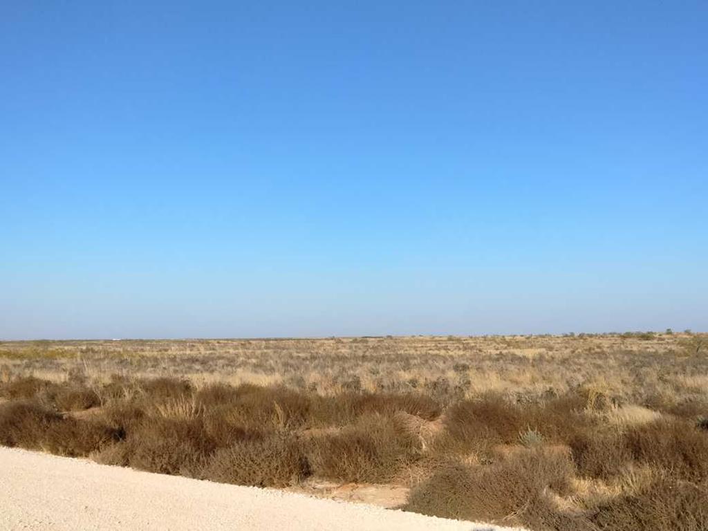 Hwy 180, Seminole, Texas image 1