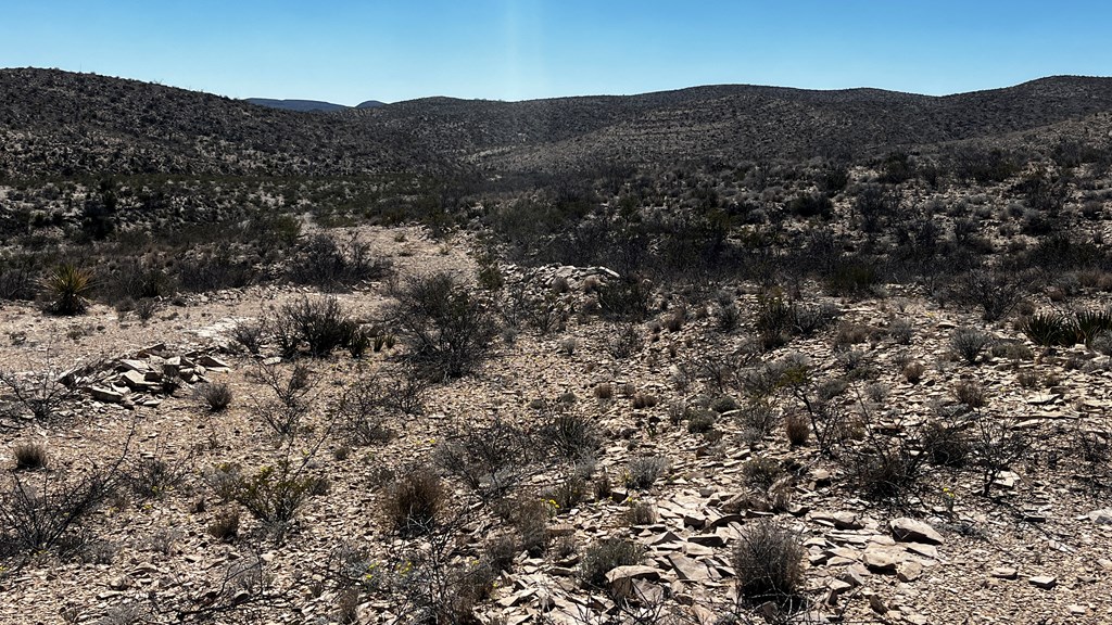 20943 Sledgehammer, Terlingua, Texas image 4