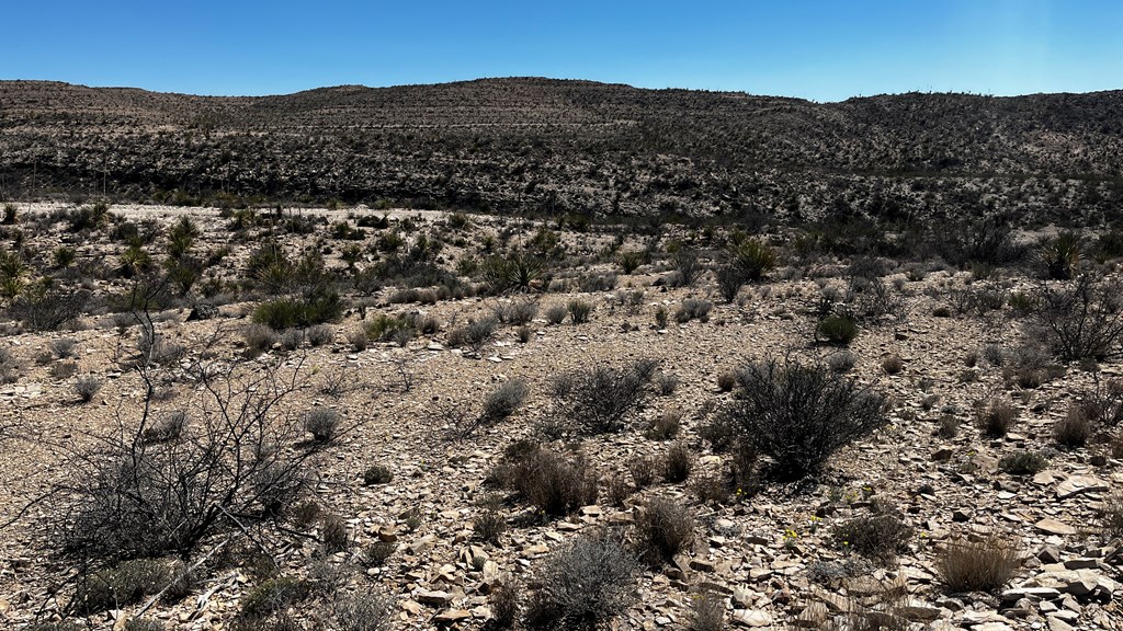 20943 Sledgehammer, Terlingua, Texas image 2