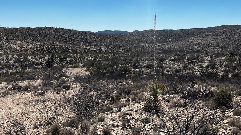 20943 Sledgehammer, Terlingua, Texas image 9