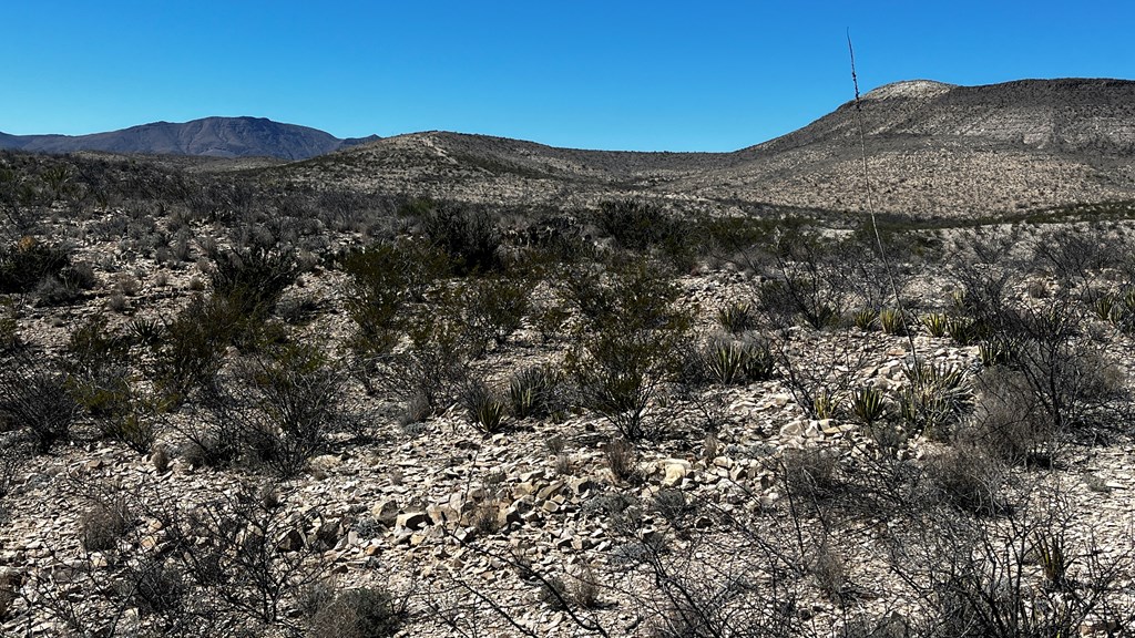 20943 Sledgehammer, Terlingua, Texas image 6