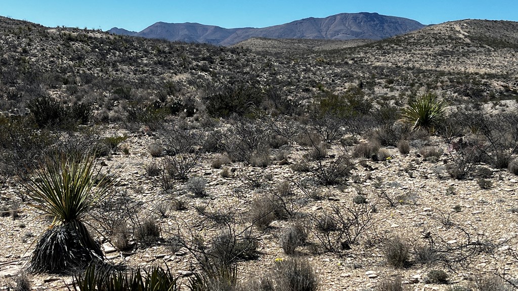 20943 Sledgehammer, Terlingua, Texas image 8