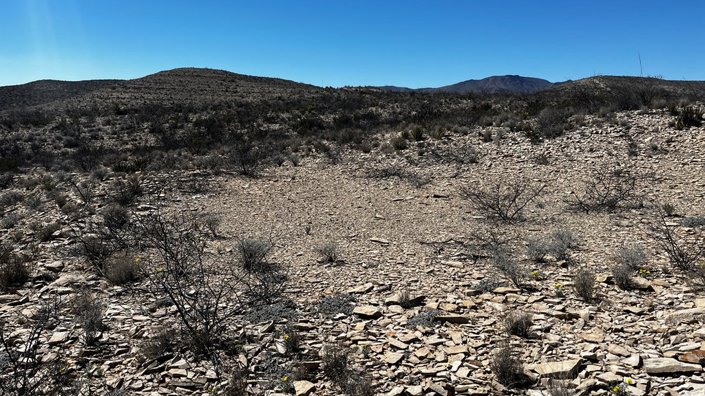 20943 Sledgehammer, Terlingua, Texas image 3