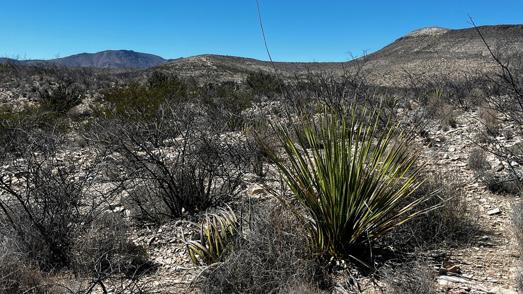 20943 Sledgehammer, Terlingua, Texas image 7