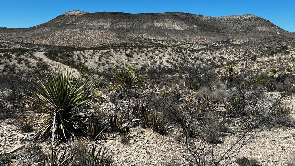 20943 Sledgehammer, Terlingua, Texas image 1