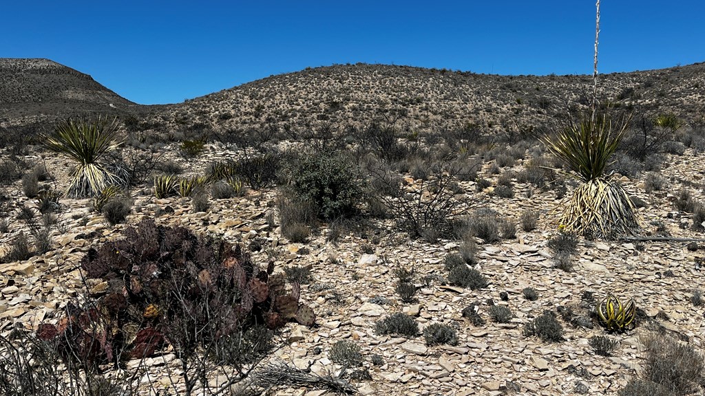 20943 Sledgehammer, Terlingua, Texas image 5