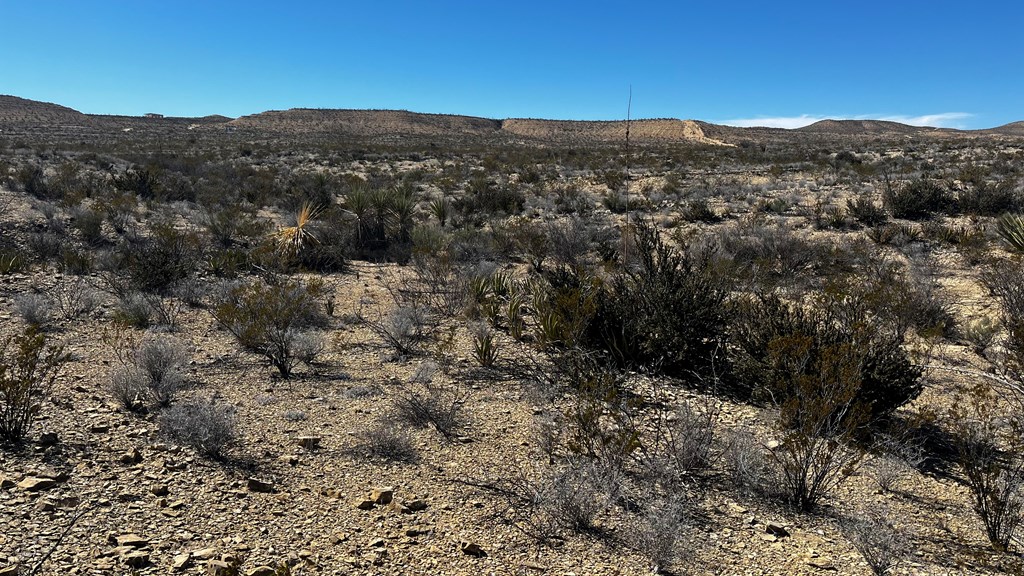 24482 Raven Rd, Terlingua, Texas image 3