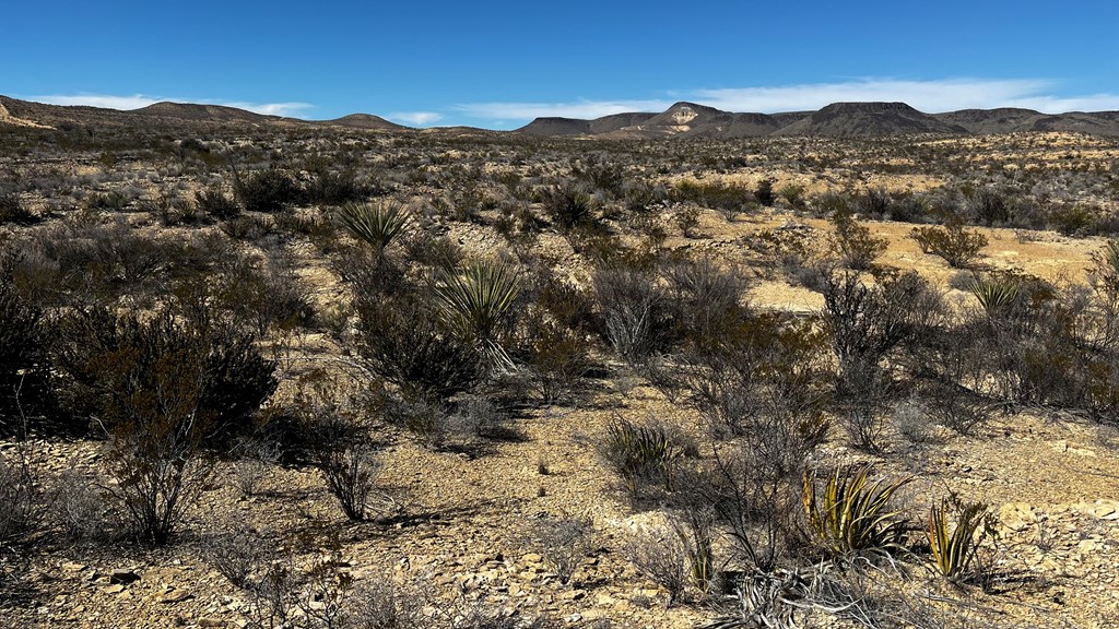 24482 Raven Rd, Terlingua, Texas image 2