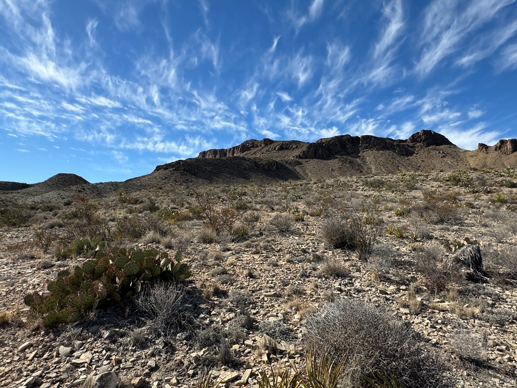 480 Kiss Avenue, Terlingua, Texas image 6