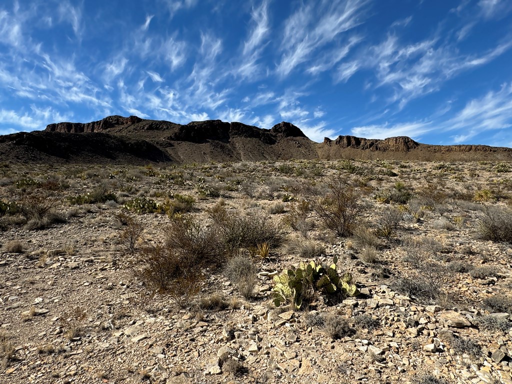 480 Kiss Avenue, Terlingua, Texas image 3