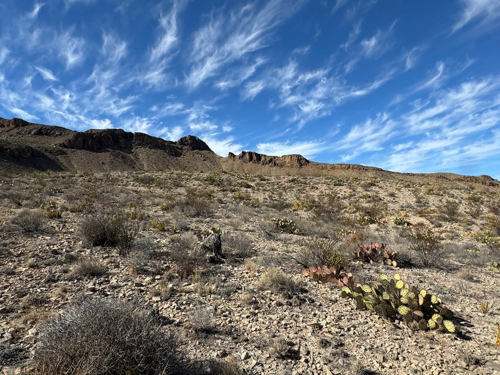 480 Kiss Avenue, Terlingua, Texas image 5